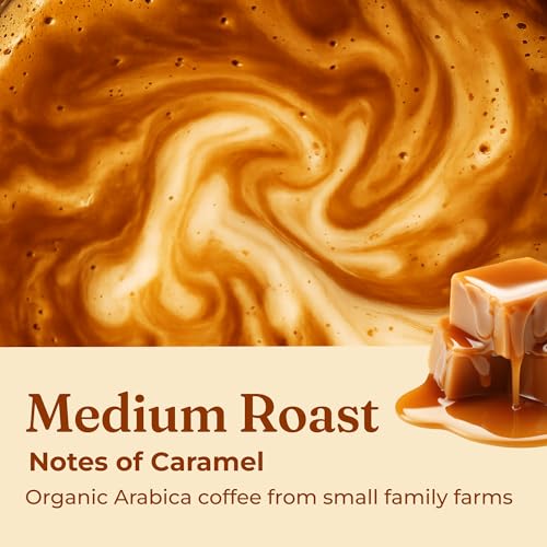 Four Sigmatic Focus Mushroom Coffee | Organic Ground Coffee with Lion's Mane Mushroom and Chaga for Better Focus and Immune Support | 12oz Bag