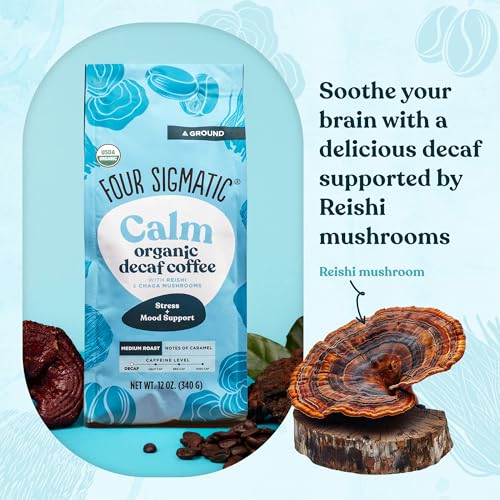 Four Sigmatic Focus Mushroom Coffee | Organic Ground Coffee with Lion's Mane Mushroom and Chaga for Better Focus and Immune Support | 12oz Bag