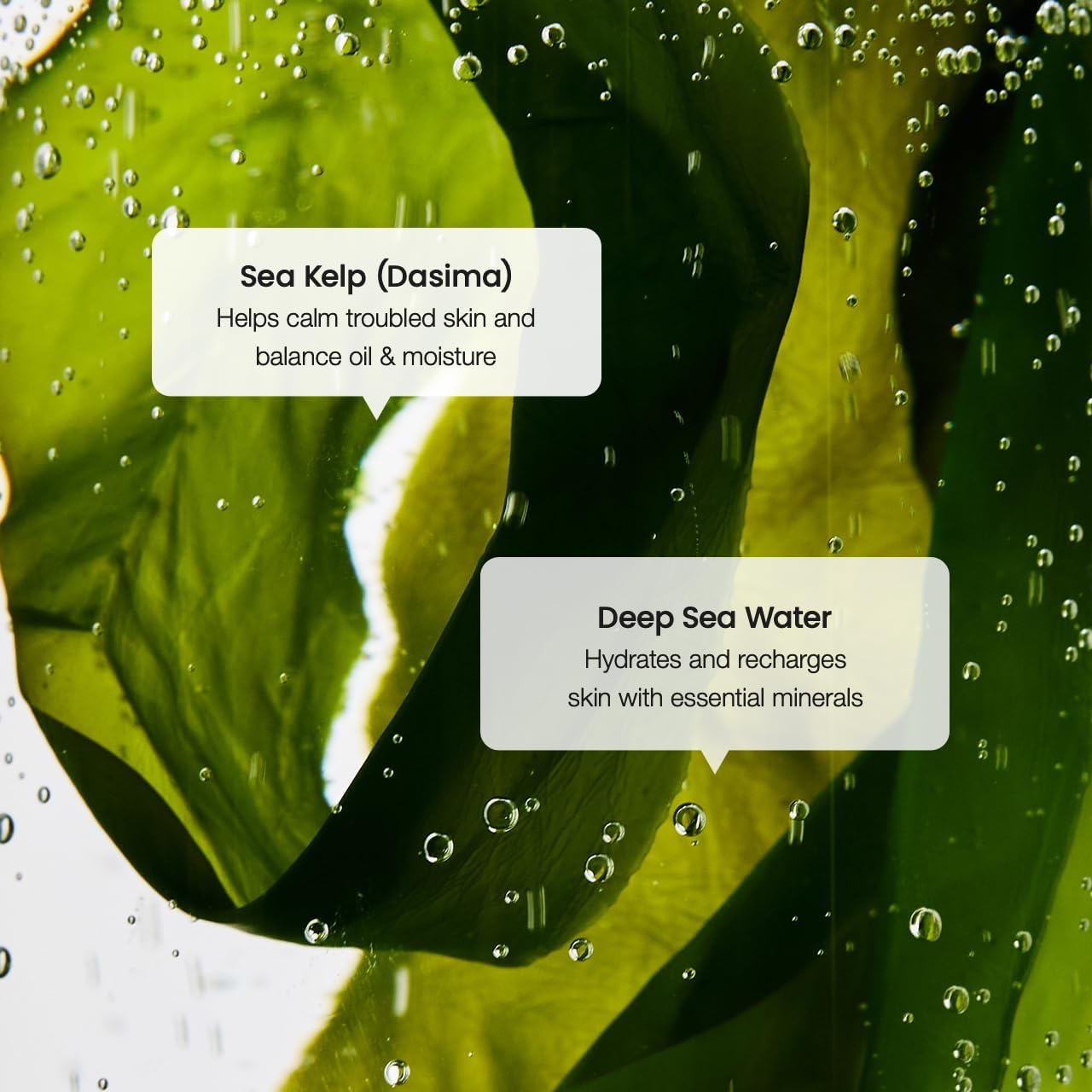 BIODANCE Pore Perfecting Collagen Peptide Serum, Skin Firming & Radiance, Plumping, Pore Care, Makeup Prep Serum for All Skin Types, Korean Skin Care, Valentines Day Gifts for Her | 1.01 fl.oz x 1 ea