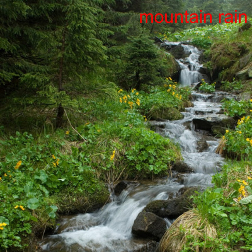Massage & body Oil Scent Rejuvenates Relaxing Sensual Lotions Hydrates Skin
