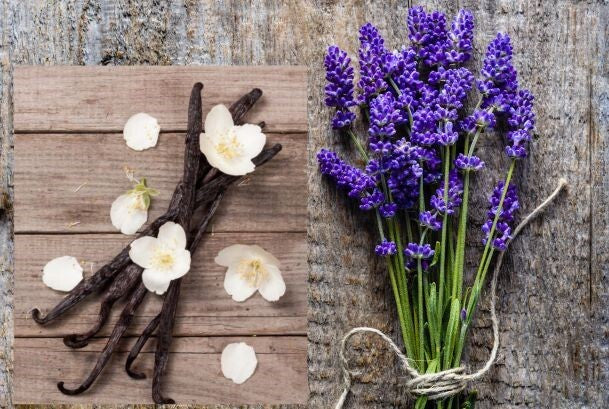 Massage & body Oil Scent Rejuvenates Relaxing Sensual Lotions Hydrates Skin