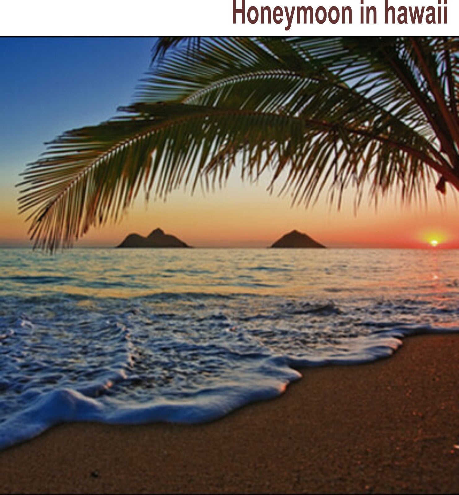 Massage & body Oil Scent Rejuvenates Relaxing Sensual Lotions Hydrates Skin